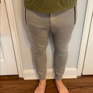 Everlane gray joggers in excellent condition